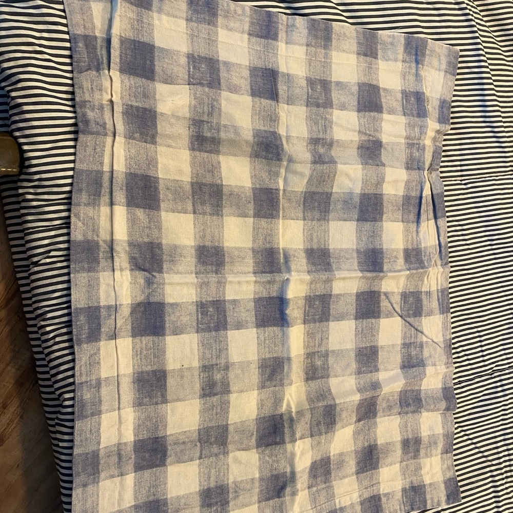 Pottery Barn Standard Shams (2)